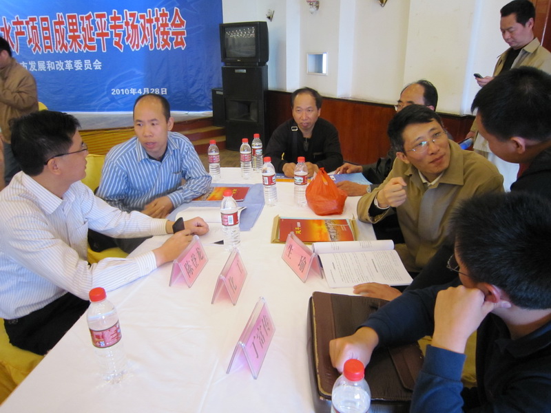 企业代表与玩球(中国教授现场交流